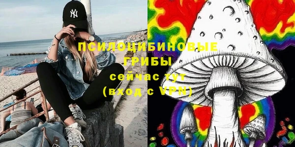 трава Алексин
