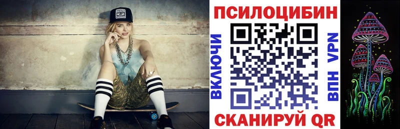 kraken как зайти  Сунжа  Галлюциногенные грибы ЛСД 
